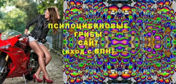 эйфоретик Сатка