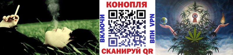 даркнет сайт  Тогучин  Бошки марихуана марихуана 